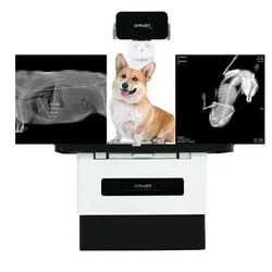 High Quality and Professional Veterinary Radiographic Equipment X-ray System for Animals