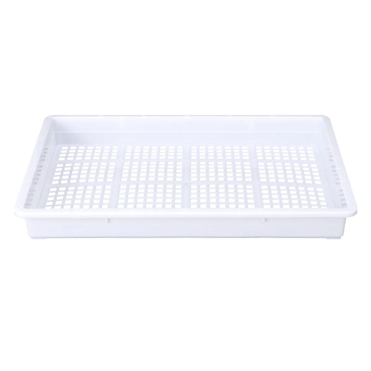 Seedling Tray Hydroponic Vegetable Soiless Nursery Hydroponics Green Gardening Water Planting Grower