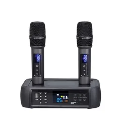 Professional Echo Microphone Karaoke with Optical Input Anti Howling Singing Multi Channel DSP Microphone