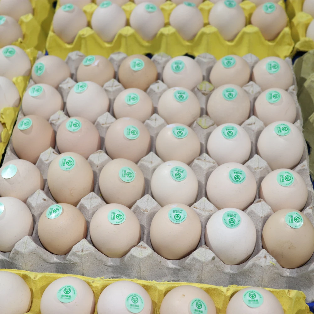 Intelligent Hand-held Labeling Machine for Eggs Apples Kiwi Pears Oranges and Fruits Small Labeling Machine