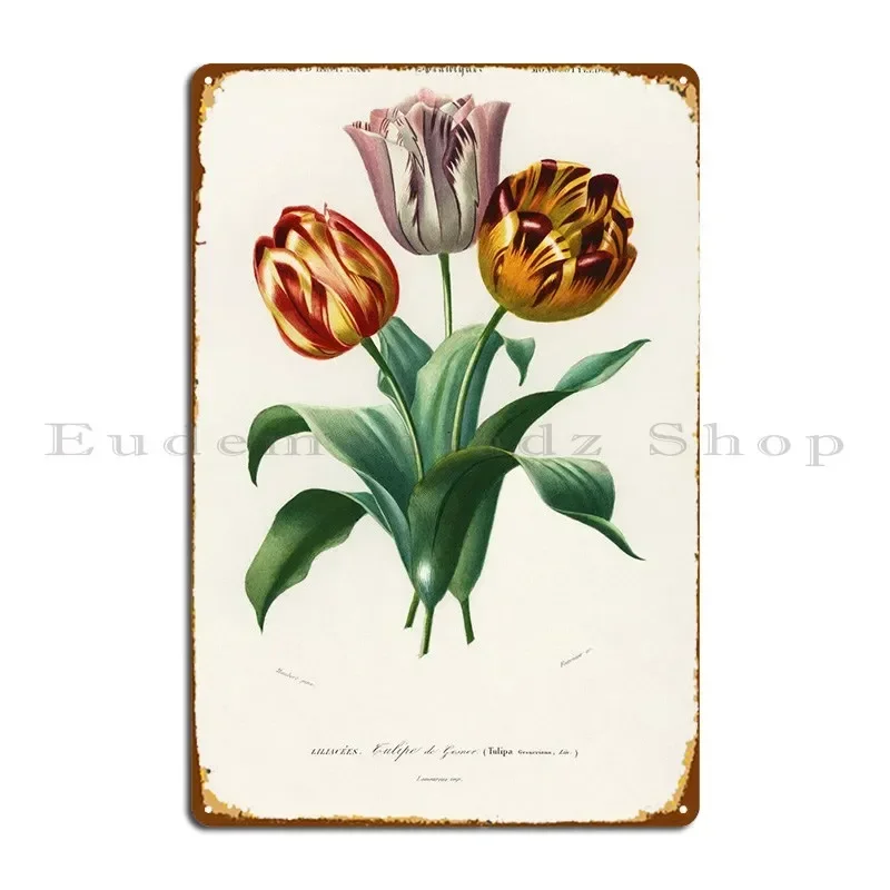 Placa Metálica Decorativa Didier39s Tulip Tulipa Ges, Letrero de Metal para Pub, Club, Cueva, Diseño Vintage