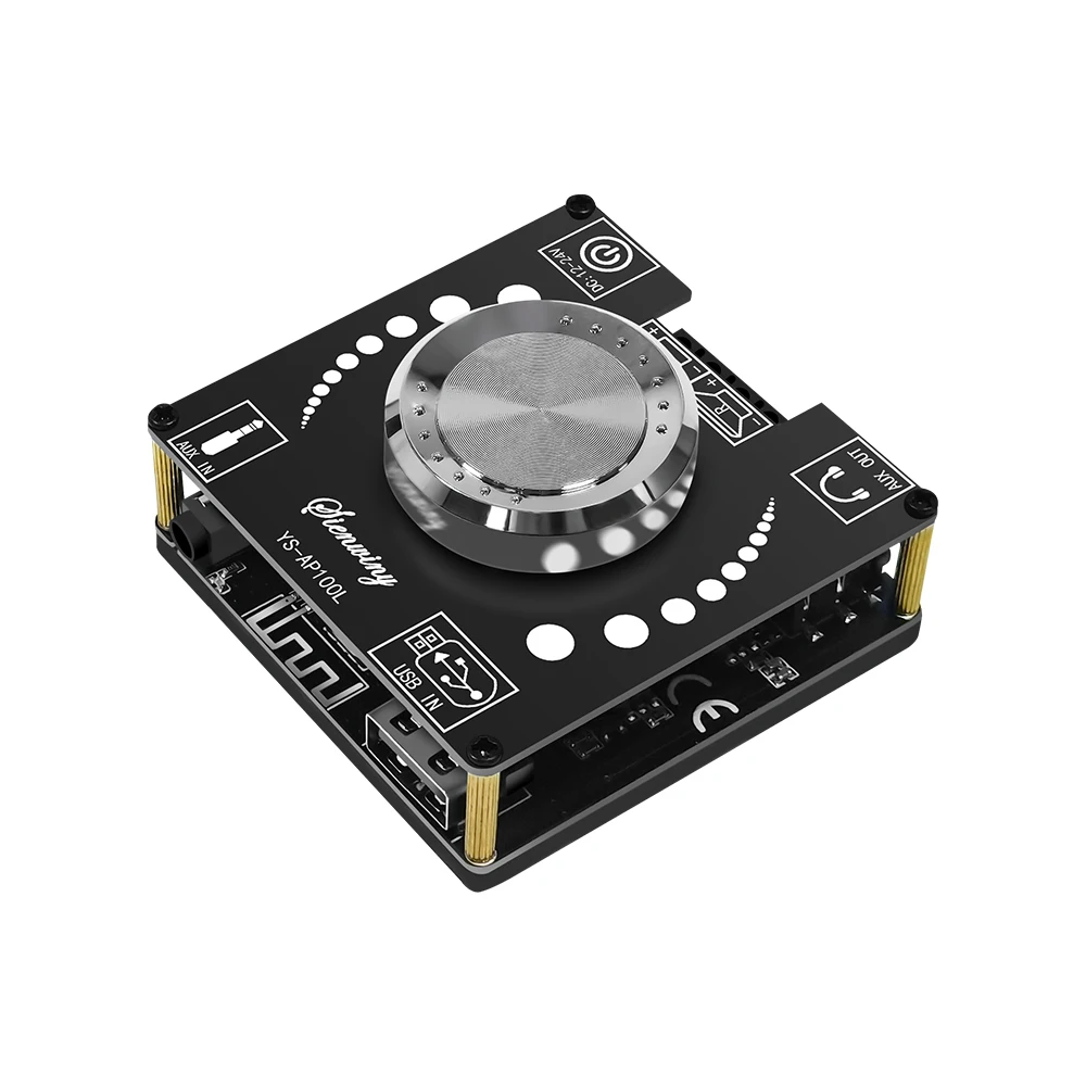 YS-AP100L Scheda amplificatore digitale Bluetooth 100W + 100W Scheda amplificatore stereo a doppio canale Scheda amplificatore + Adattatore DC