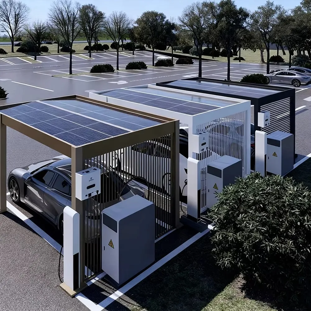 Any Size Custom PV Energy Storage Parking Shed 3600w 6000w Solar Sturdy Waterproof Outdoor Multi Functional Charging Carport