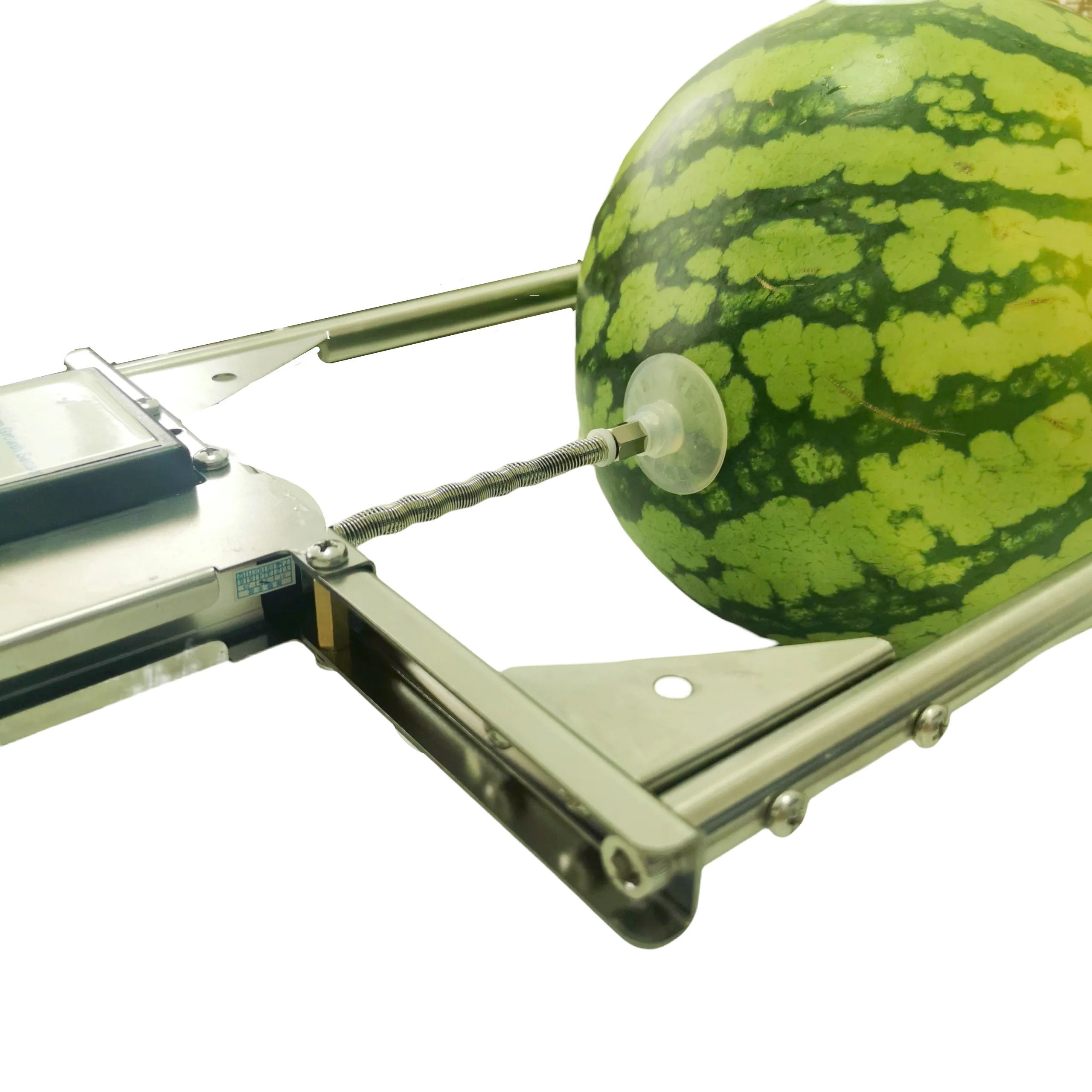 2025RS485 Modbus 4-20mA 0-5V 0-10V Output LoRa LoRaWAN Fruit And Stem Growth Sensor