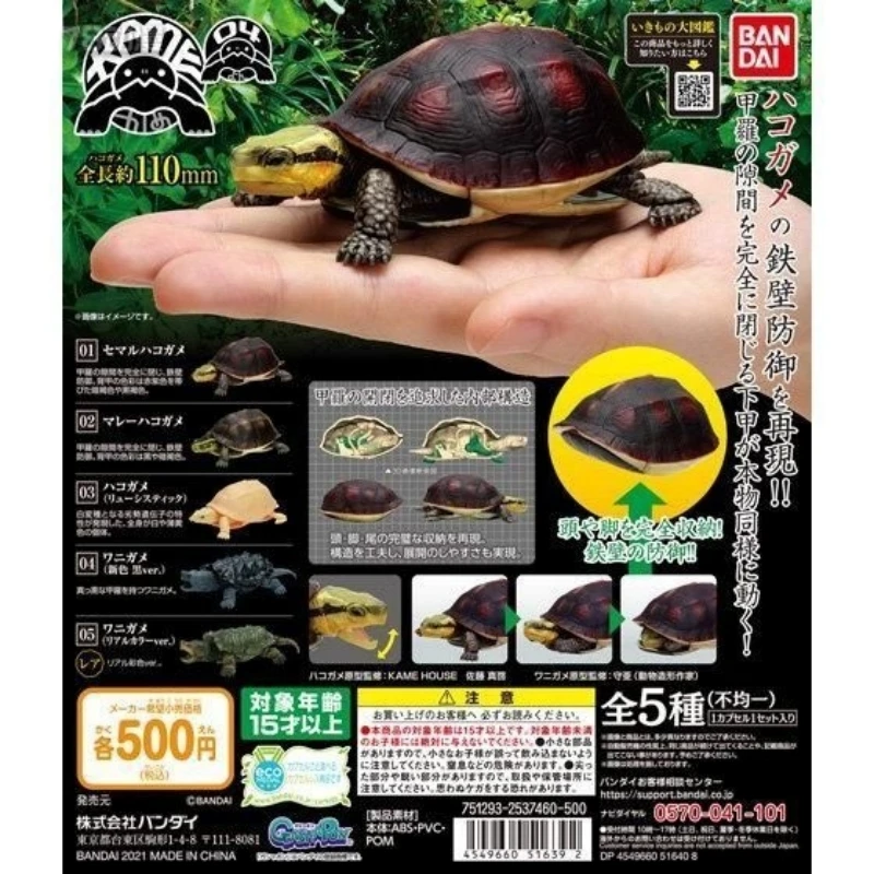 Bandai Original 5Pcs Gashapon のかわいらしさからのハコガメToys For Kids Gift Collectible Model Ornaments