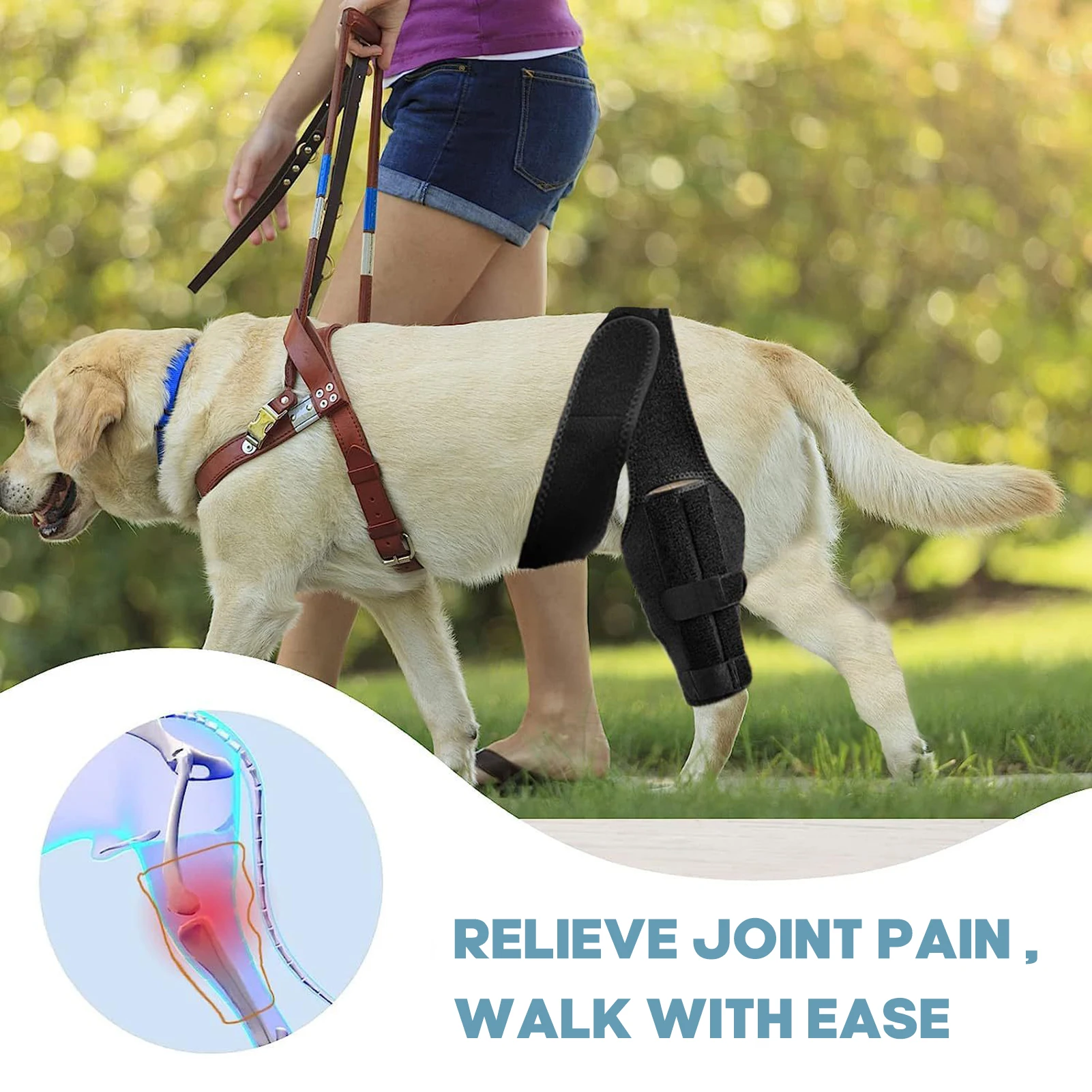 Dog Knee Brace for Torn Leg Strong Support Dog Leg Brace for Both Back and Front Legs