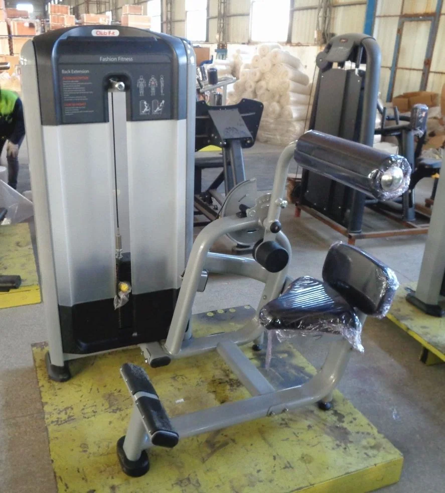 ST-3022 Fitness Equipment Back Extension Machine Hyperextension Adjustable Fitness Equipment Steel Material