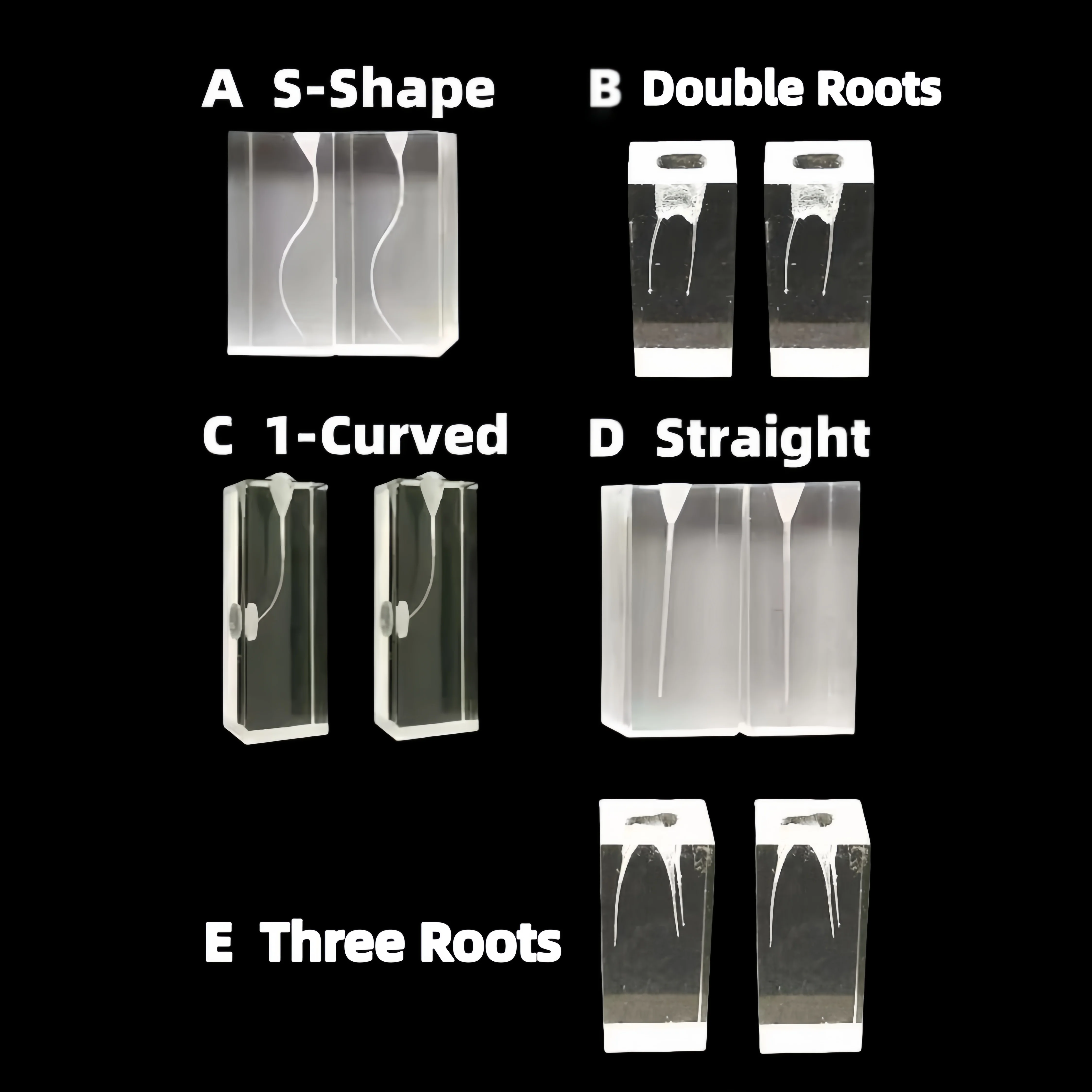 5Pcs Dental Endodontic Cubes File Training Model Rotary Files Practice Block S-Root Straight High Quality Dental Module