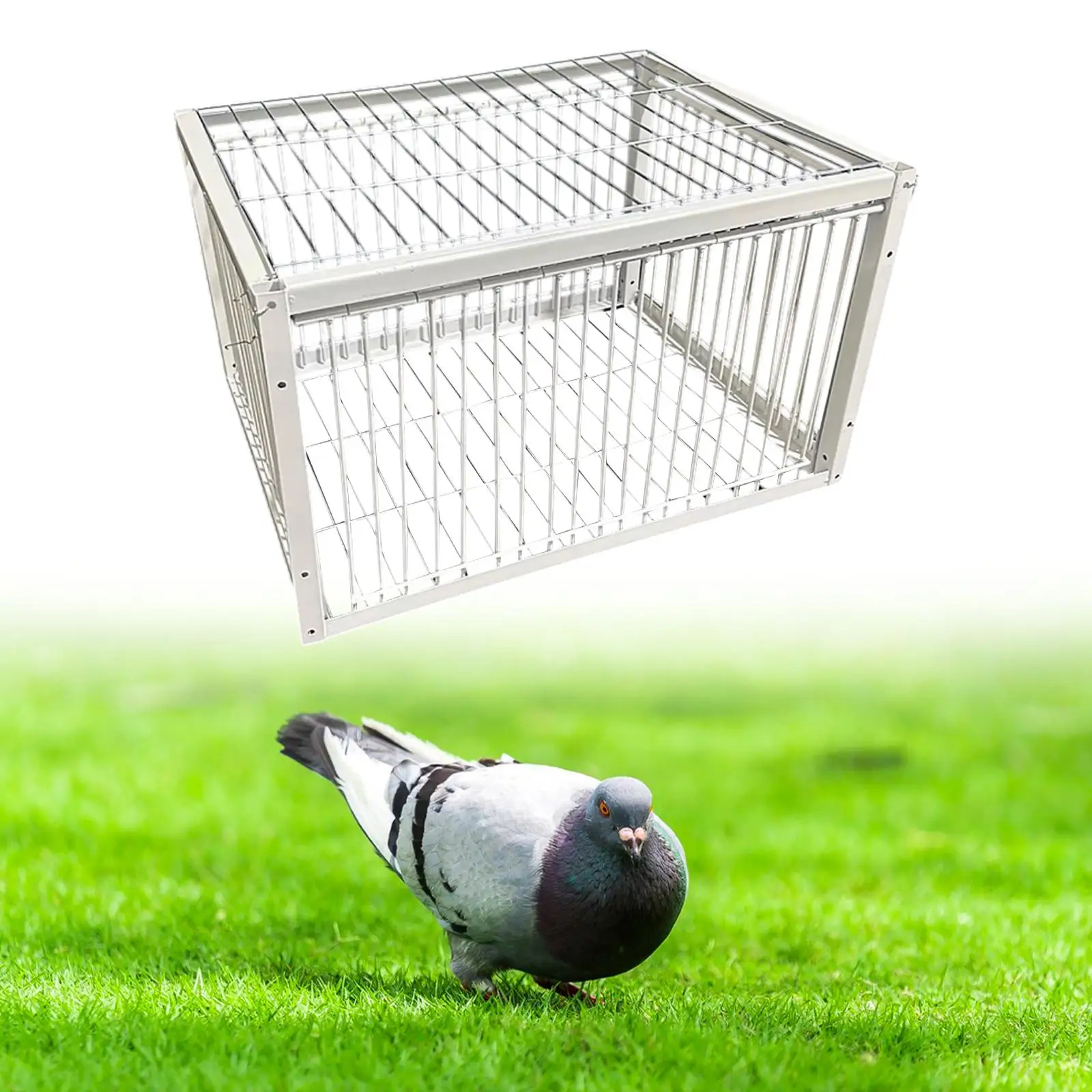Thumbnail 4 - #30 Best Bird Cages to Buy In 2026