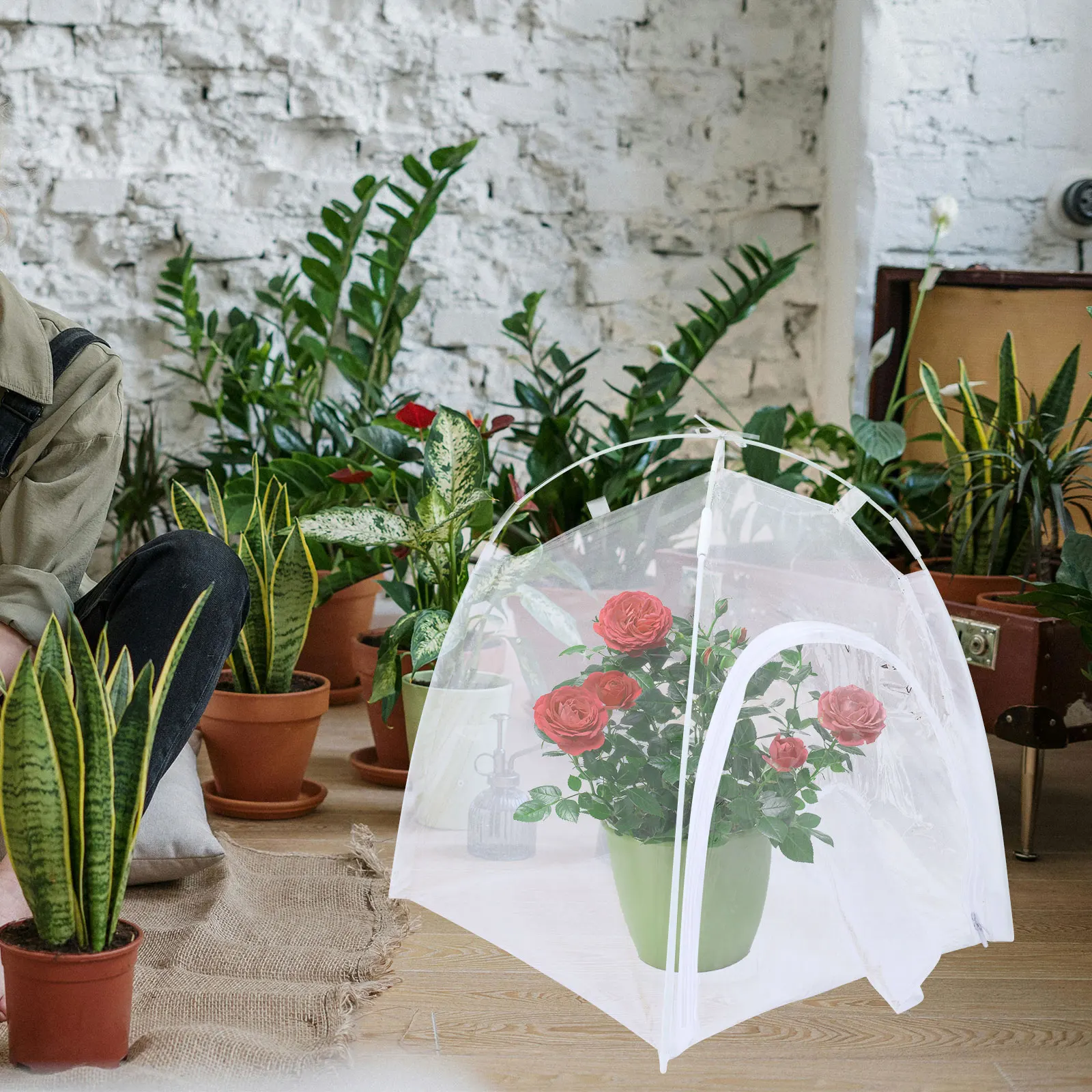 

Foldable Insect Cage For Butterflies Pvc Mesh Habitat Outdoor Garden Plant Growth Tent Ventilation Breeding Observation Cage