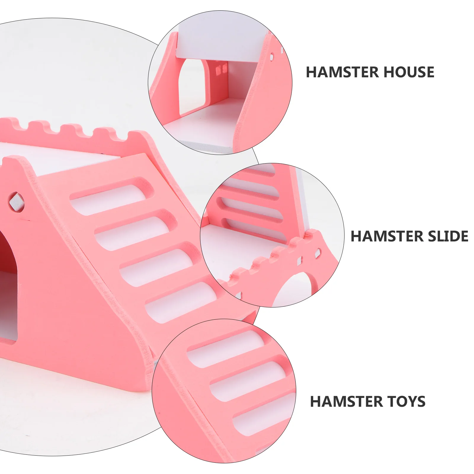 

Hamster Hamster Slide Hamster Small Pets Small Pets