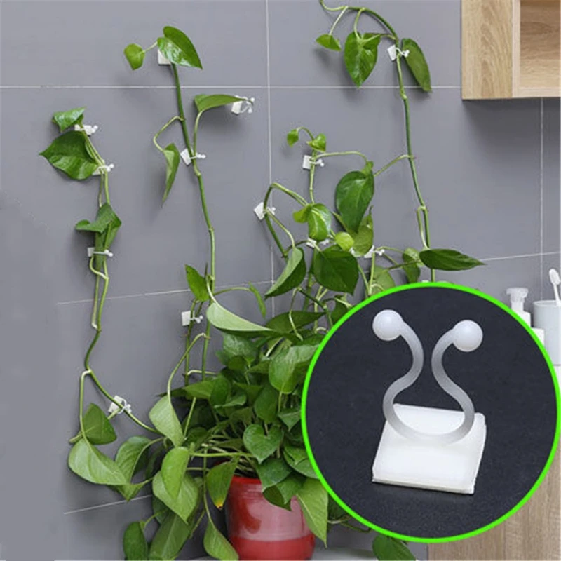 Plant Climbing Wall Clips Vine Buckle Hook Rattan Clamp Fixator Self-Adhesive Plant Stent Invisible Vine Climbing Fixed Bracket