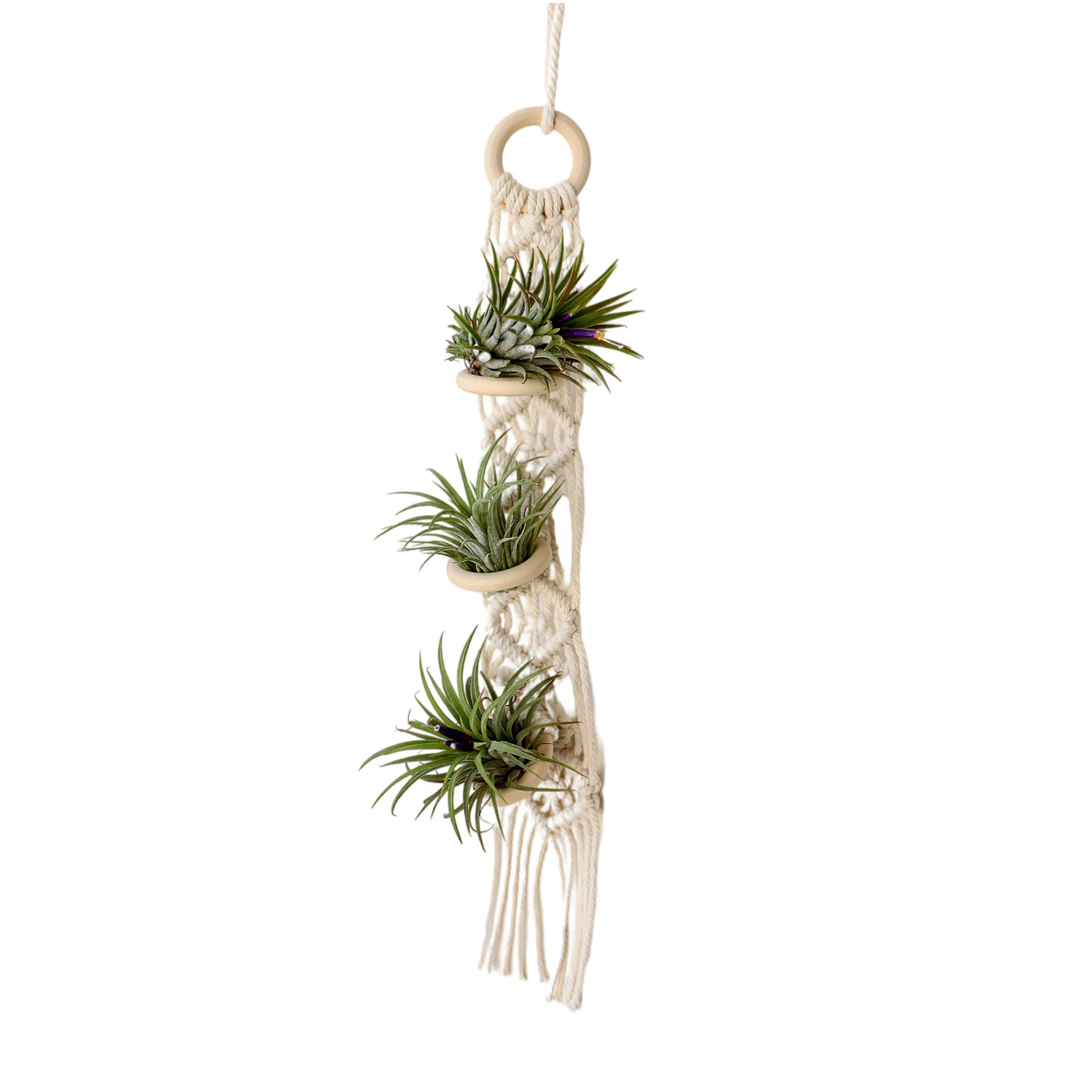 Colgador de macramé para plantas de aire, soporte colgante de piña de aire, de pared macetero, cesta de flores Boho hecha a mano, exhibición de