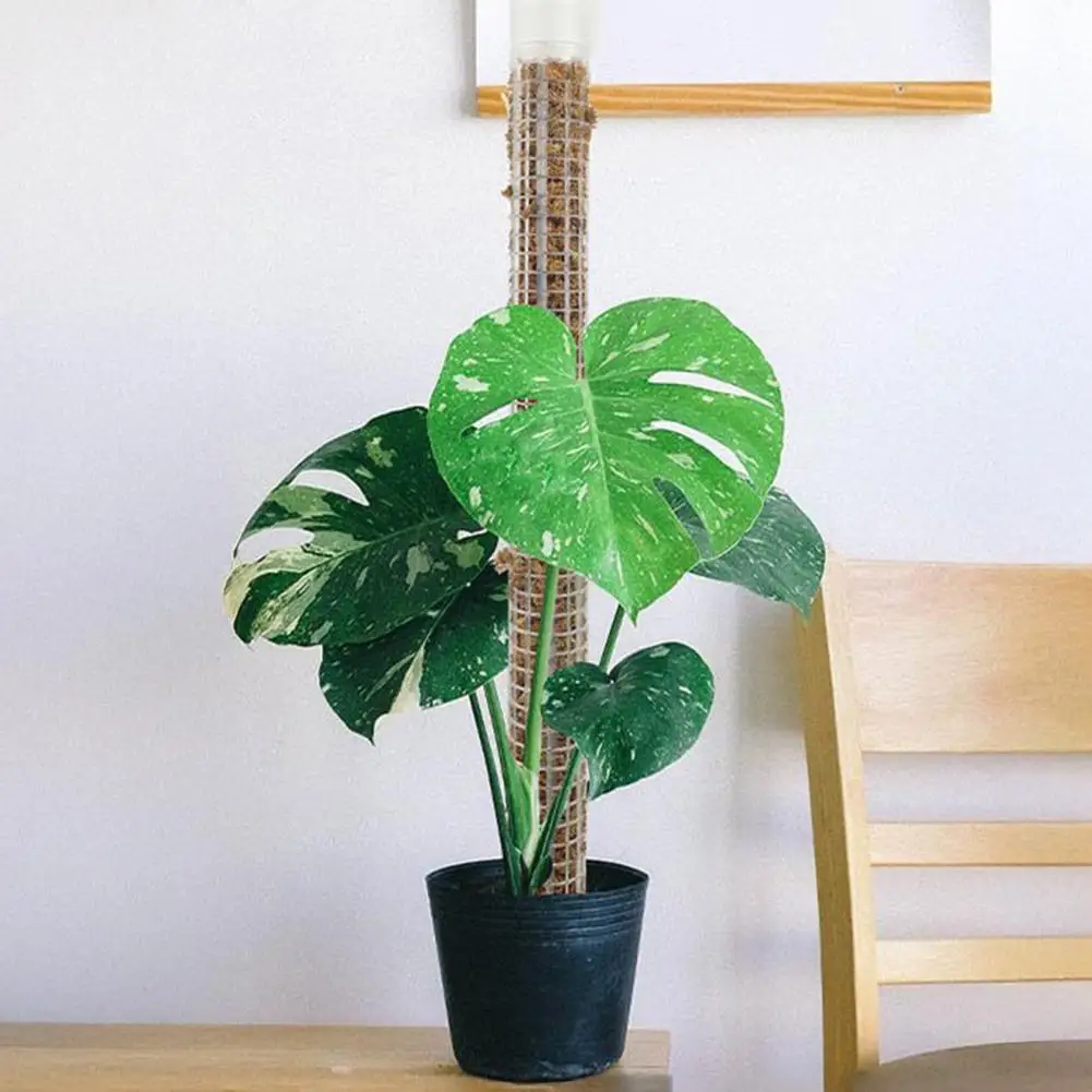 Self Watering Plant Pole Durable Plastic Climbing Pole Self Watering Moss Pole Plant Support Stackable Plastic for Potted