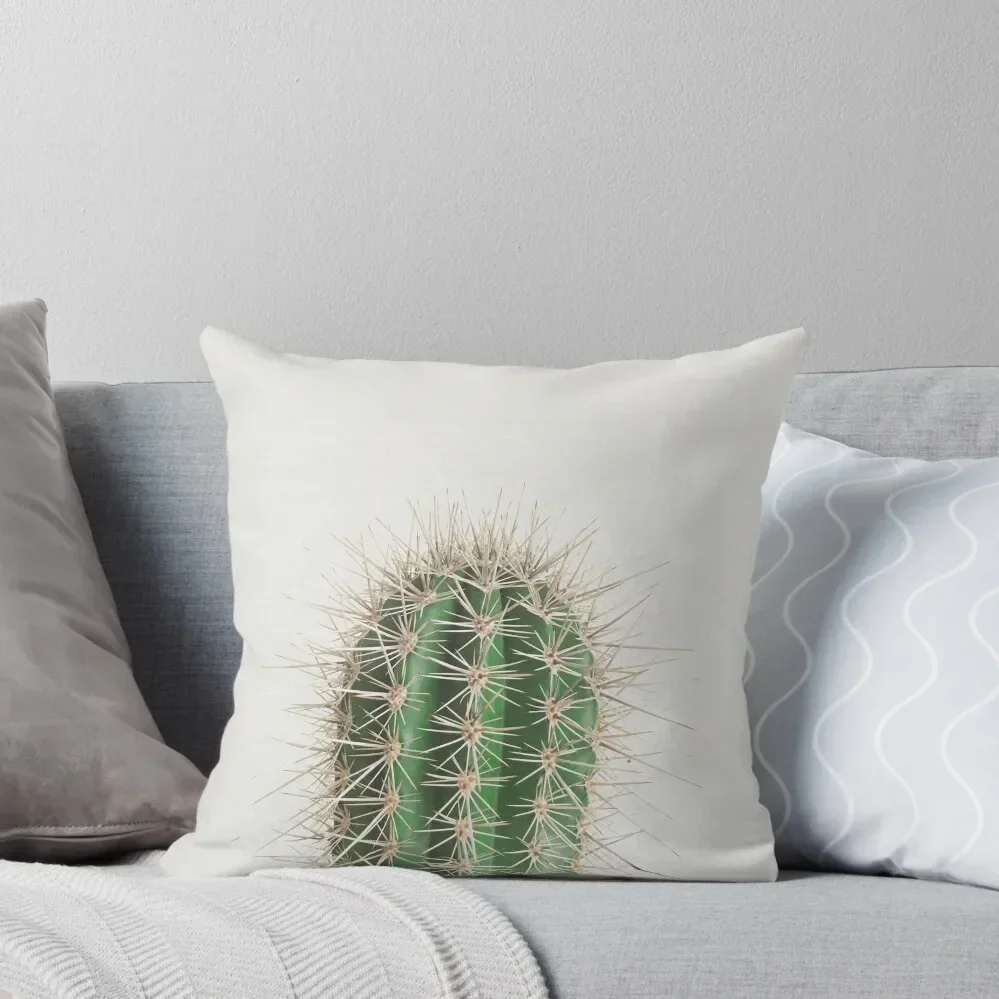 

Cactus Throw Pillow Cushions Pillow Covers Decorative pillowcases for sofa cushions pillow