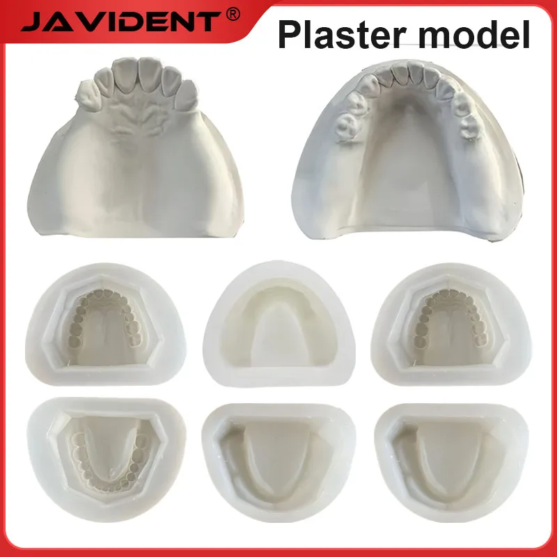 

1/2Pcs Dental Impression Standard Silicone Model with Teeth and Toothless Veneer Practice Preparation Plaster Dental Arch Base