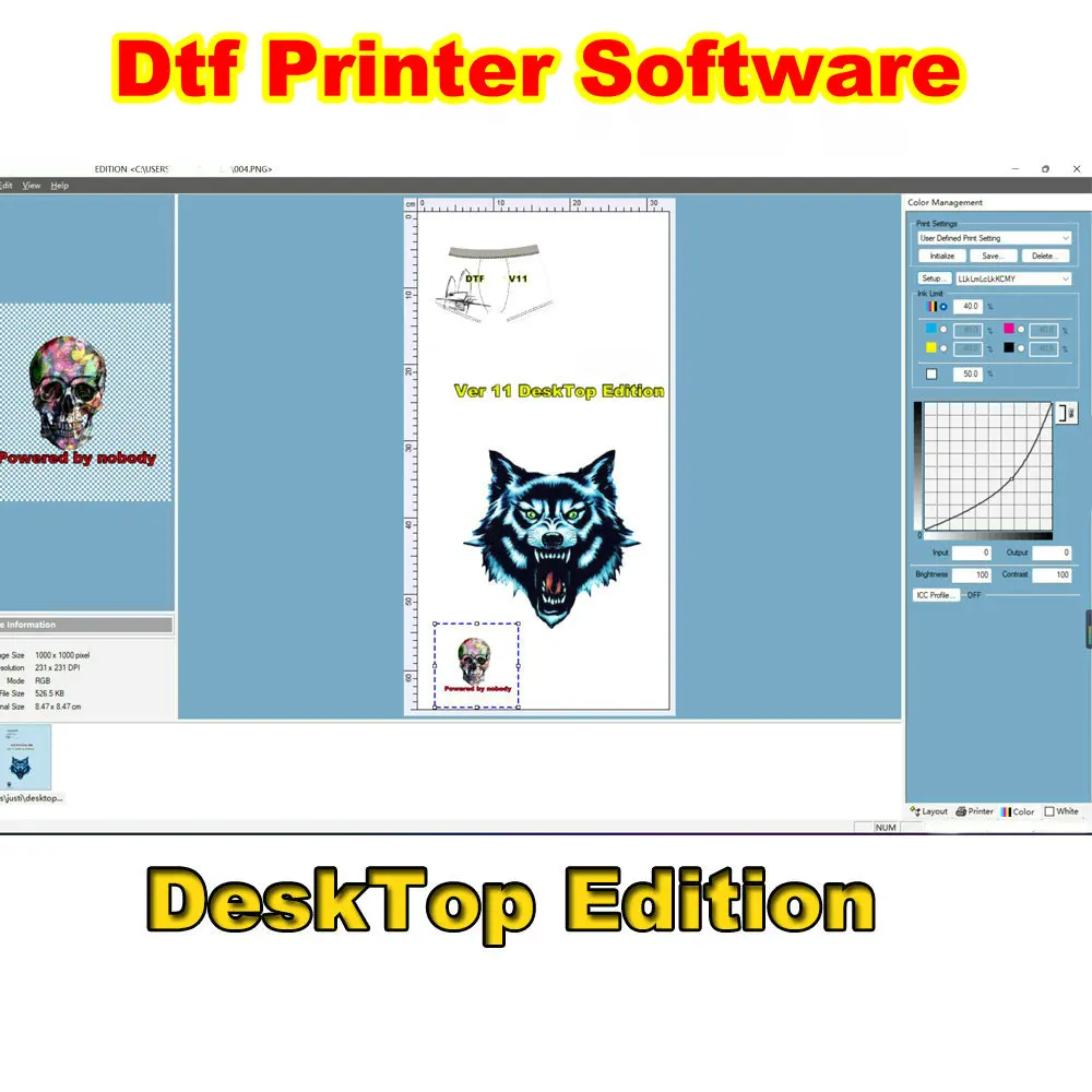 Desktop 11.2 Rip Software Wide Dtf Format Dongle Program Usb Key Epson L1800 7900 L805 R1390 XP15000 L18050 L8050 L800 4880 Dtf