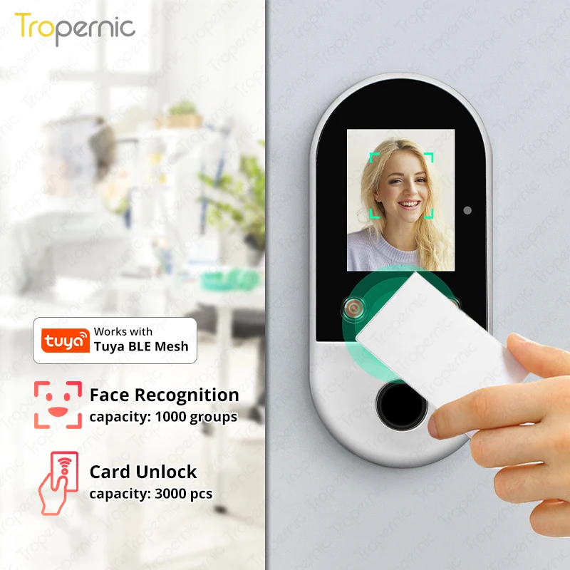 Tuya Smart Life App Face Recognition Door Lock Time Attendance acesso facial Door Lock RFID Card Smart Access Control