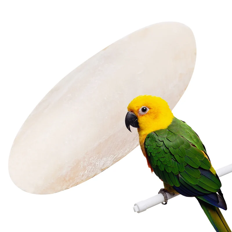 Pet Parrot Perch Hamster Hanging Bell Calcium Supplements Molars Cuttlefish Bones Chewing Toys Bird Food Parakeet Cockatiel Cage