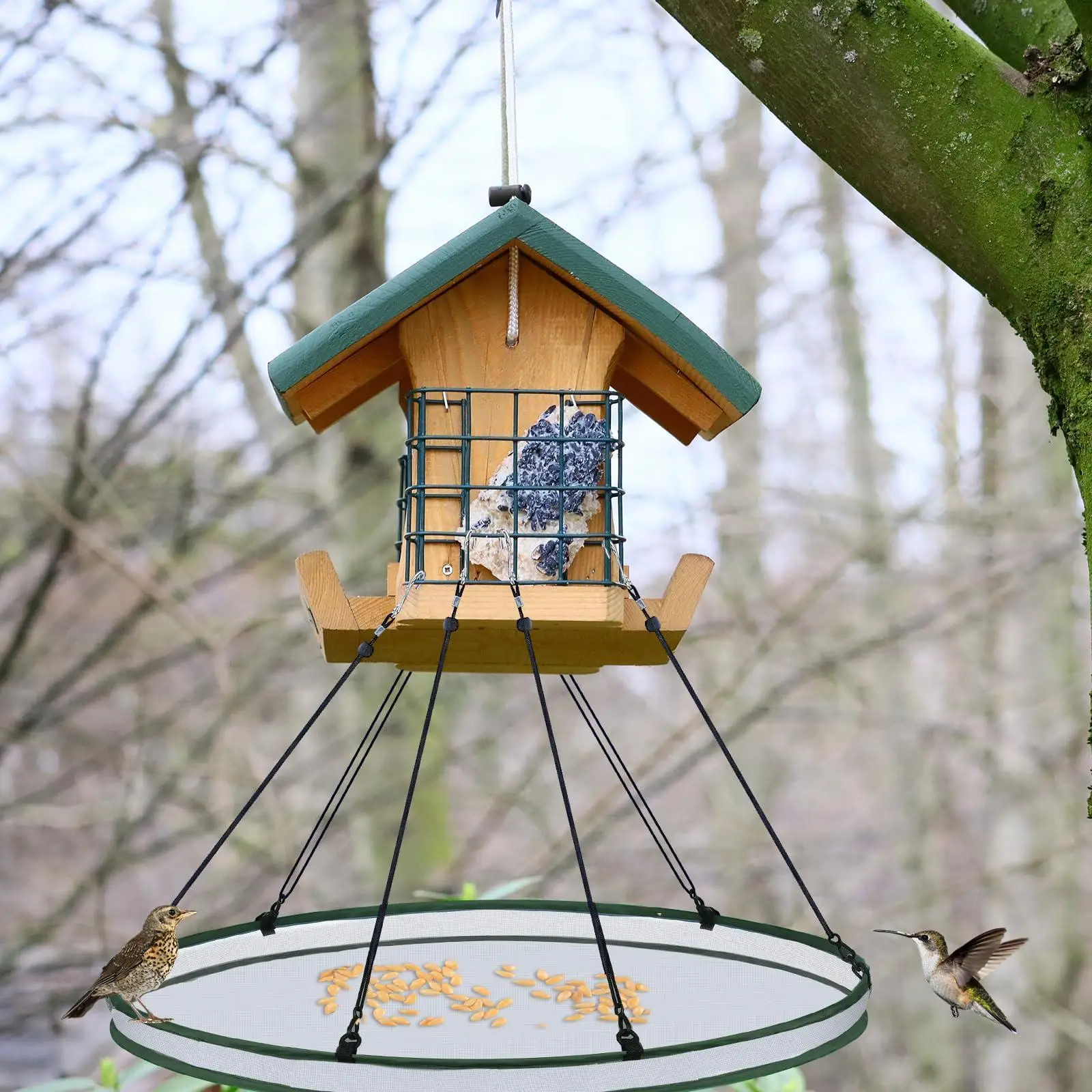 #26 Trending Bird Feeders Right Now