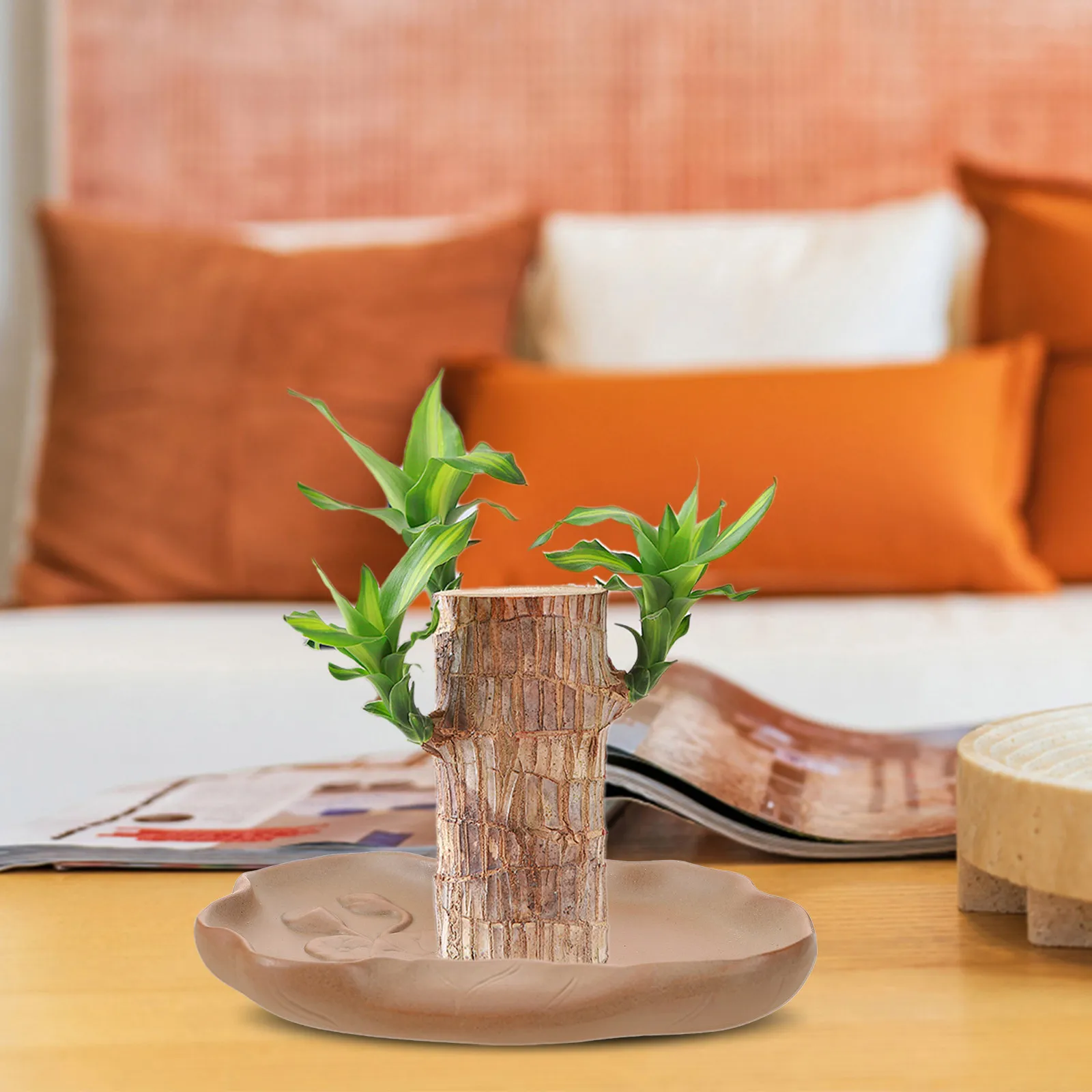 Ceramic Plant Saucer Tray for Indoor & Outdoor Use – Anti-Spill Drainage Tray to Prevent Water Stains