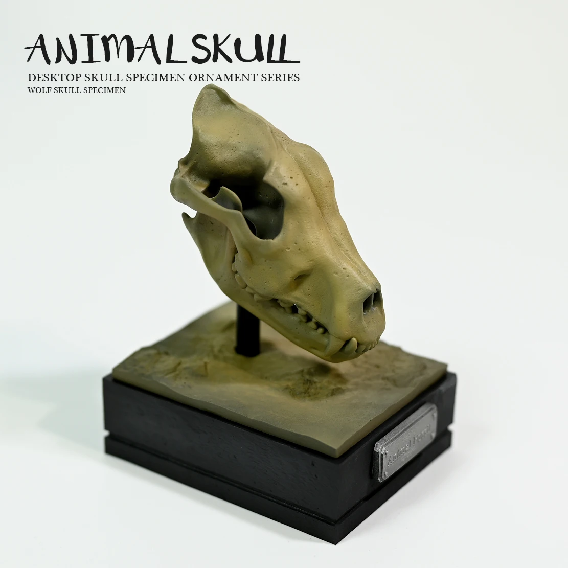 

80MM Home decoration Art resin Creative Home Furnishings Tabletop Ornaments Dinosaur Bone Model -Wolf LTCP-187