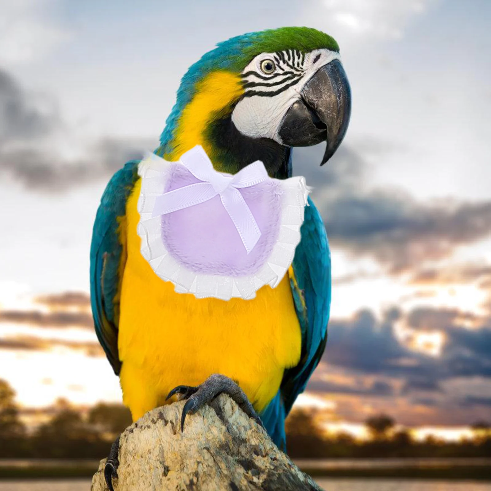 

4Pcs Small Dog Bandana Parrot Hamster Bandana Scarf Rabbit Drool Towel Washable Decorative Pet Neck Accessories Photoshoots