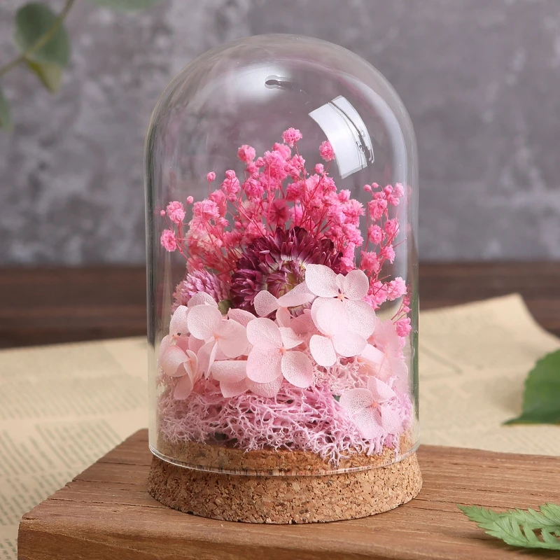 6sets/pack 6*8cm 6*10cm 6*12cm 6*15cm Mini Size Tube Shaped Glass Dome Wedding Decoration Cork Base Transparent Cover DIY Gift