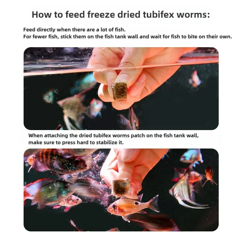 Freeze Dried Tubifex Worms Red Thread Worm Patch Food for Tropical Fish and Amphibians