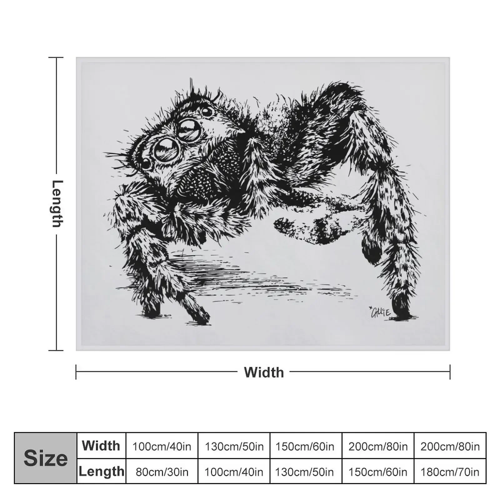 Jumping Spider Encounter Throw Blanket Luxury Designer Beautifuls Blankets