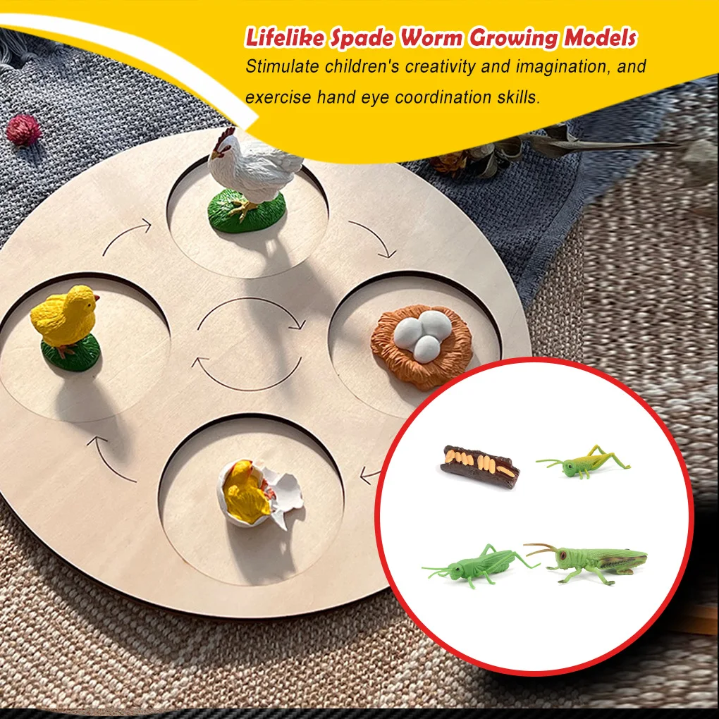 1 Set Spade Worm Model Premium Lifelike Plastic Useful Insect Figurines Vivid Nature Growing Models for cicada type2