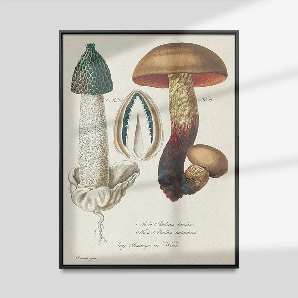 

Botanical Mushroom Anatomical Illustration Poster Vintage Print Art Wall Stickers Canvas Painting Decor