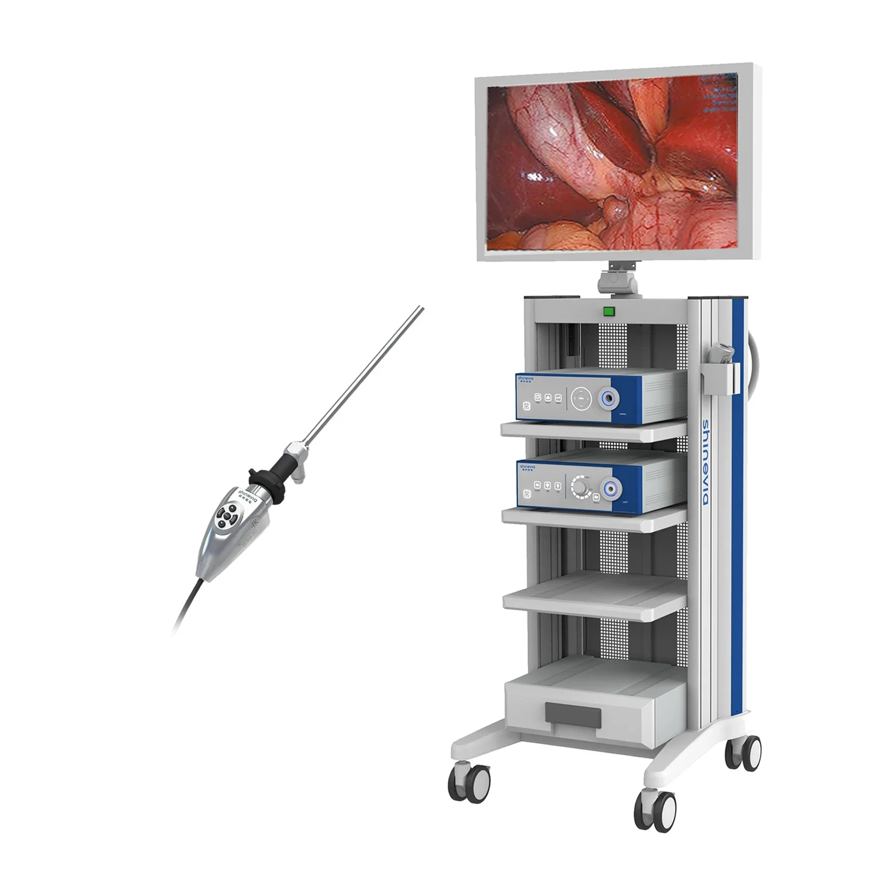 Shinevia 4K endoscopics Surgerys Instrums endoscopes Camera System  CAM-4000B