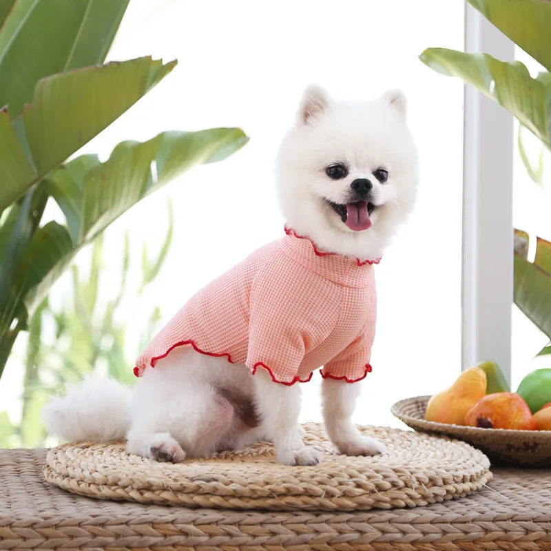 곰팡이 컬링 보텀 셔츠, 봄 여름 및 가을 용품, 두 다리 의류, 테디 비숑 과일 개 고양이 애완 동물 의류, 신제품