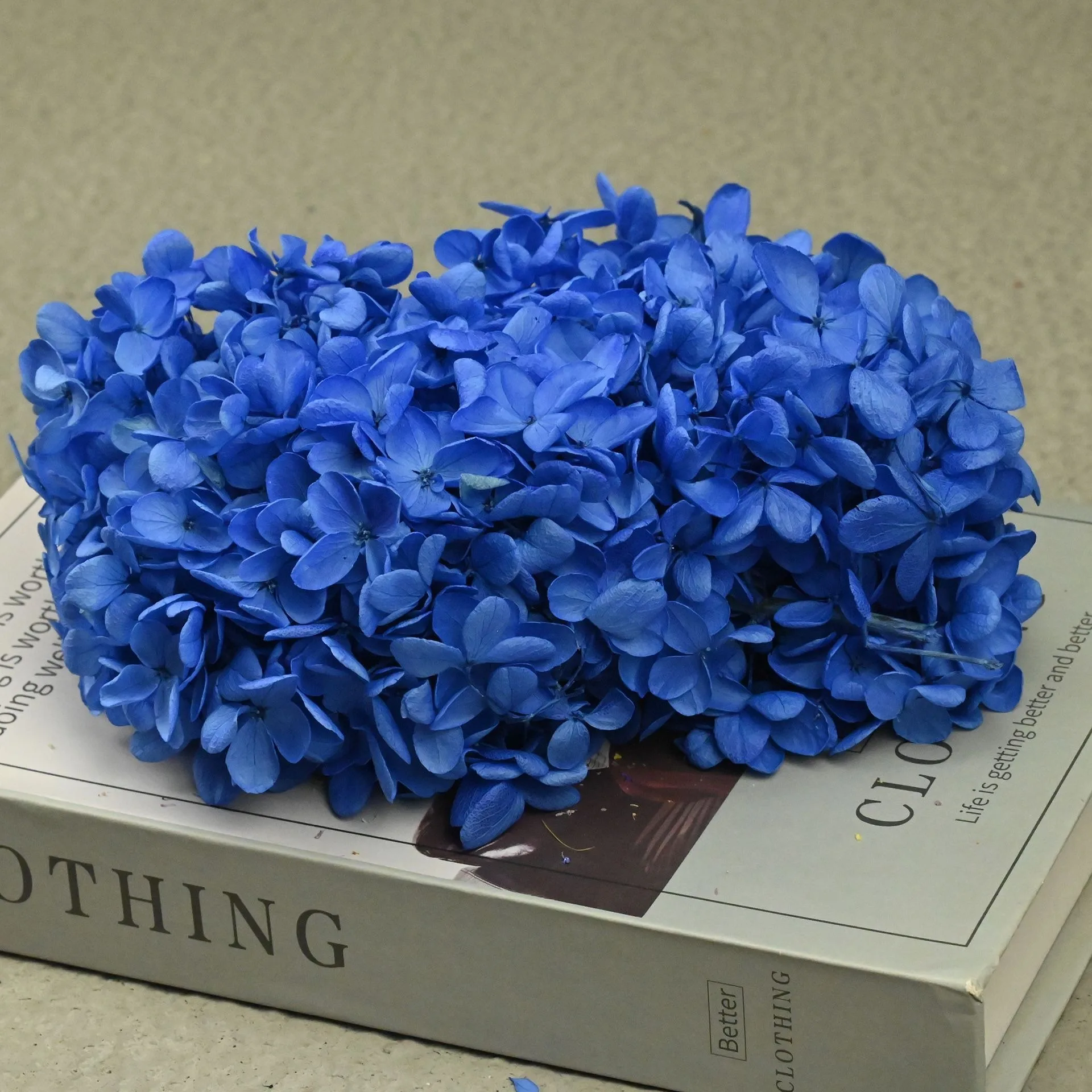 

20g Natural Dried Flowers Hydrangea Macrophylla Home Decoration Flowers DIY Wedding Celebration Flowers Bouquet Materials