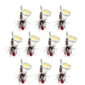 008-10pcs
