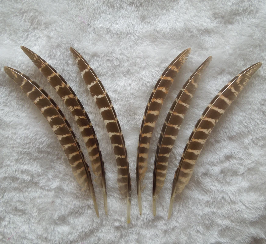 200Pcs/LOT,13-20CM NATURAL Ringneck Pheasant Wing Feathers,Wholesale Plume Quills,Male/Female Ringneck Quills