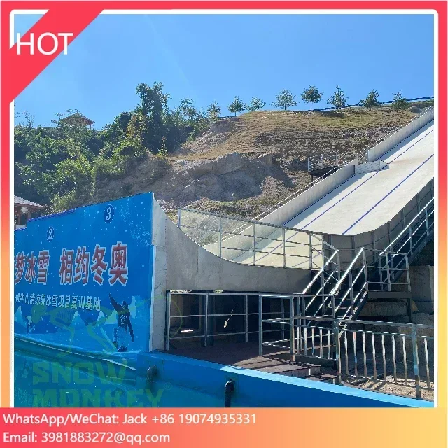 

Skiing Anowboarding Mushroom Dry Ski Mat