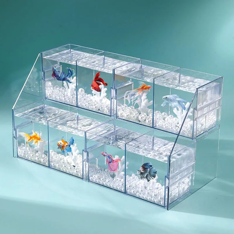 Acrylic Ornamental Fighting Fish Tank New Small Row Tank Transparent Desktop Aquarium Creative Multi-compartment DIY Aquariums