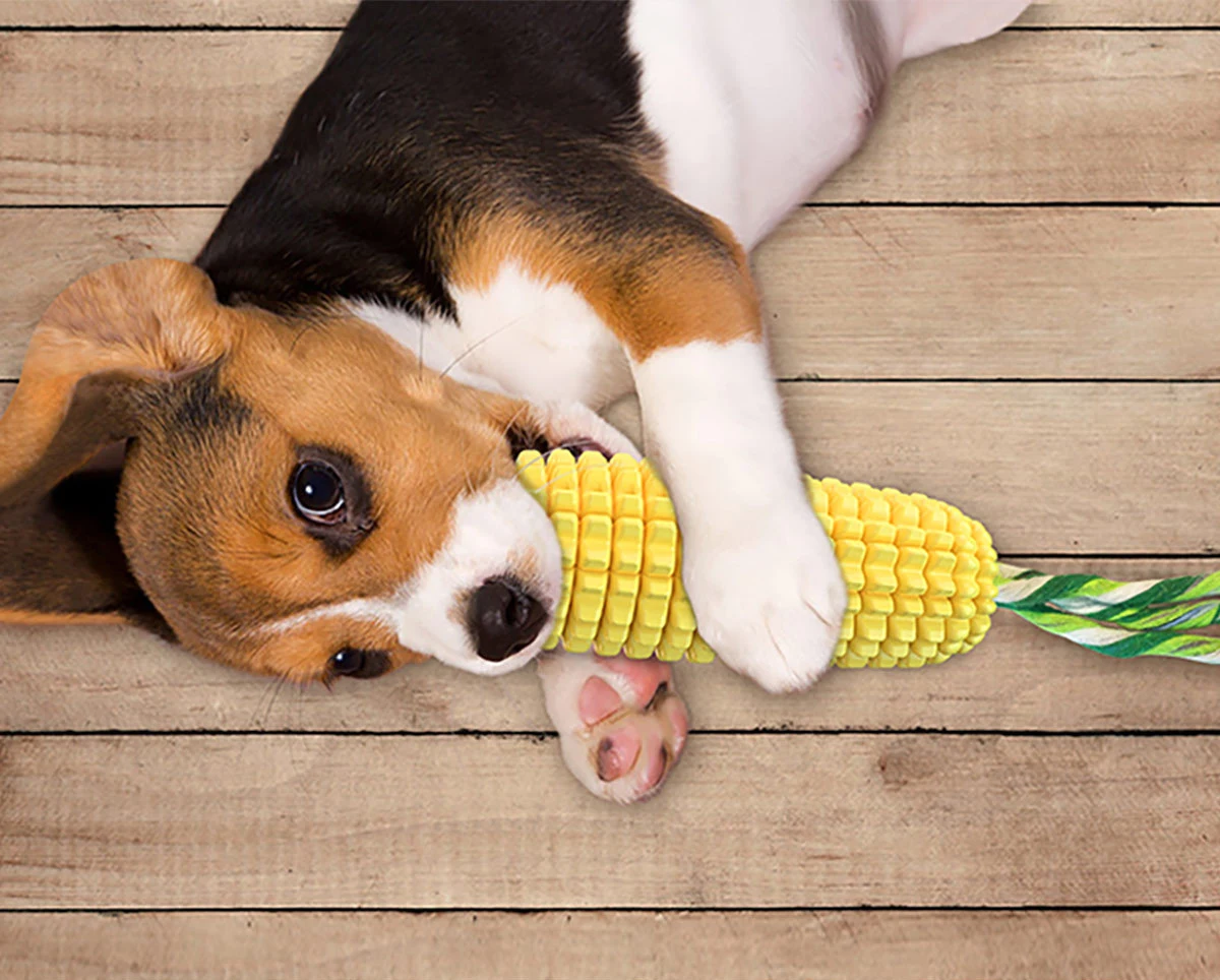 Pet Multifunctional Toys, Corn-Shaped Chew Toys, Teething Sticks, Kill Pet Time, Suitable for Dogs and Cats