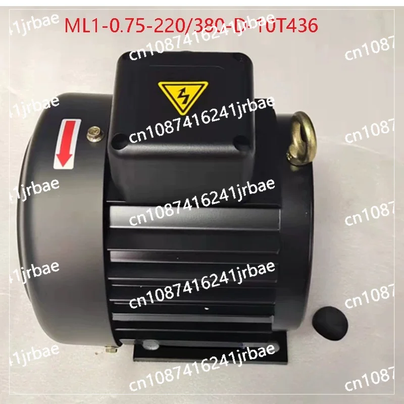 

220V 380V Dual Voltage Electric Motor ML1-1.5-220/380-D-10T436 ML1-0.75/2 3-Phase Asynchronous Motor for Pump Compressor
