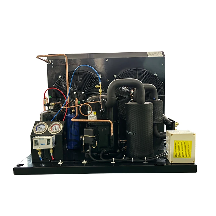 

TAG2516Z Cool Room Freezer Compact Refrigeration Unit for Sale Co2 Refrigeration Unit 4HP Tecumseh Refrigeration Condensing Unit