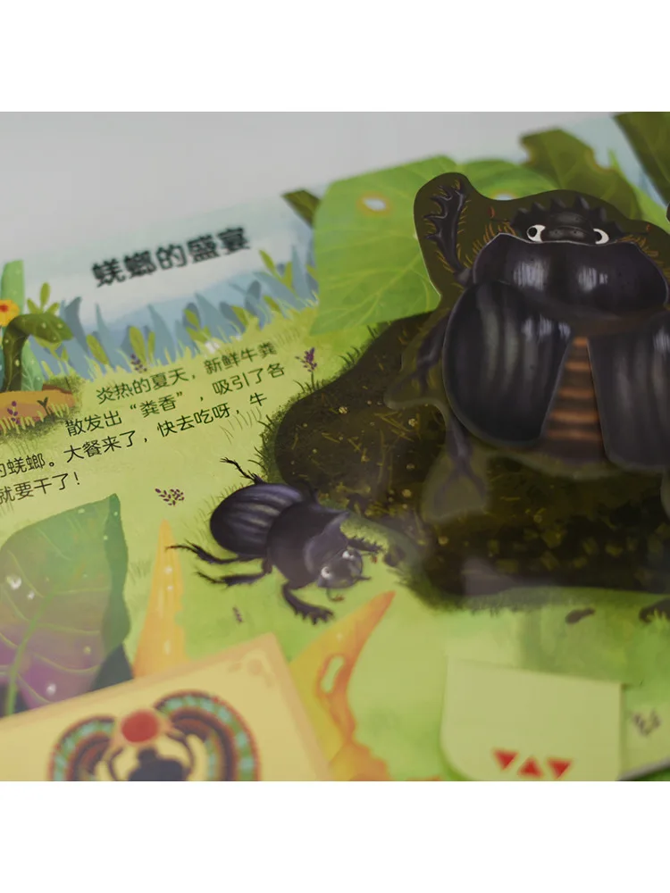 Book-Winshare Steam Exploration Fabre's Insects Interactive Pop Up Book Scarab