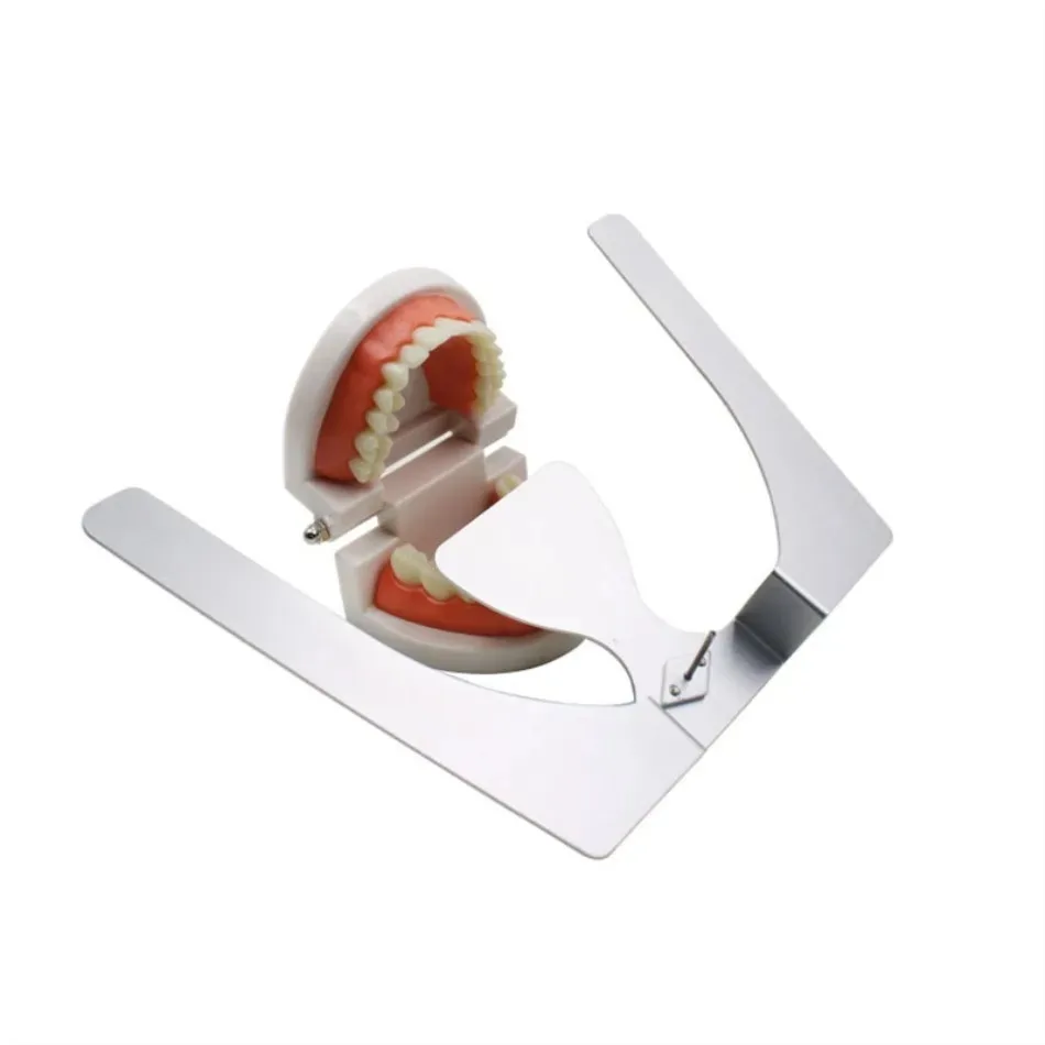 Plaque Maxillaire Occlusale Orthodontique Dentaire 3D, en Alliage d'Aluminium, 3 Dimensions