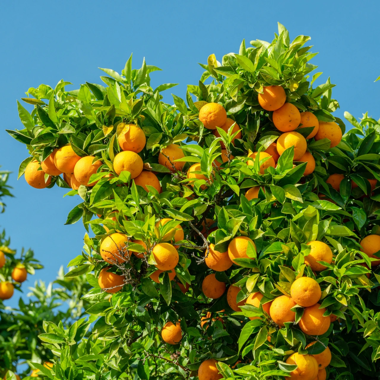 

CUSTOMIZED CUSTOMIZED CUSTOMIZED CUSTOMIZED