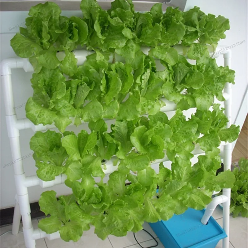 For Soilless Cultivation Home Balcony, Growing Vegetables Strawberries, Hydroponic Plants Multi-layer Vegetable Planter
