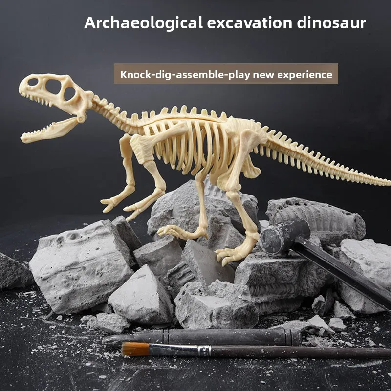 Dinosaur Fossil Excavation Kit STEM Excavates Dinosaur Skeleton Model Toys Educational Science Gifts for Boys and Girls