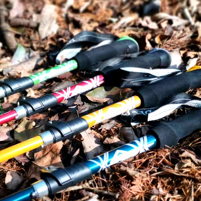 Foldable Trekking Pole 2