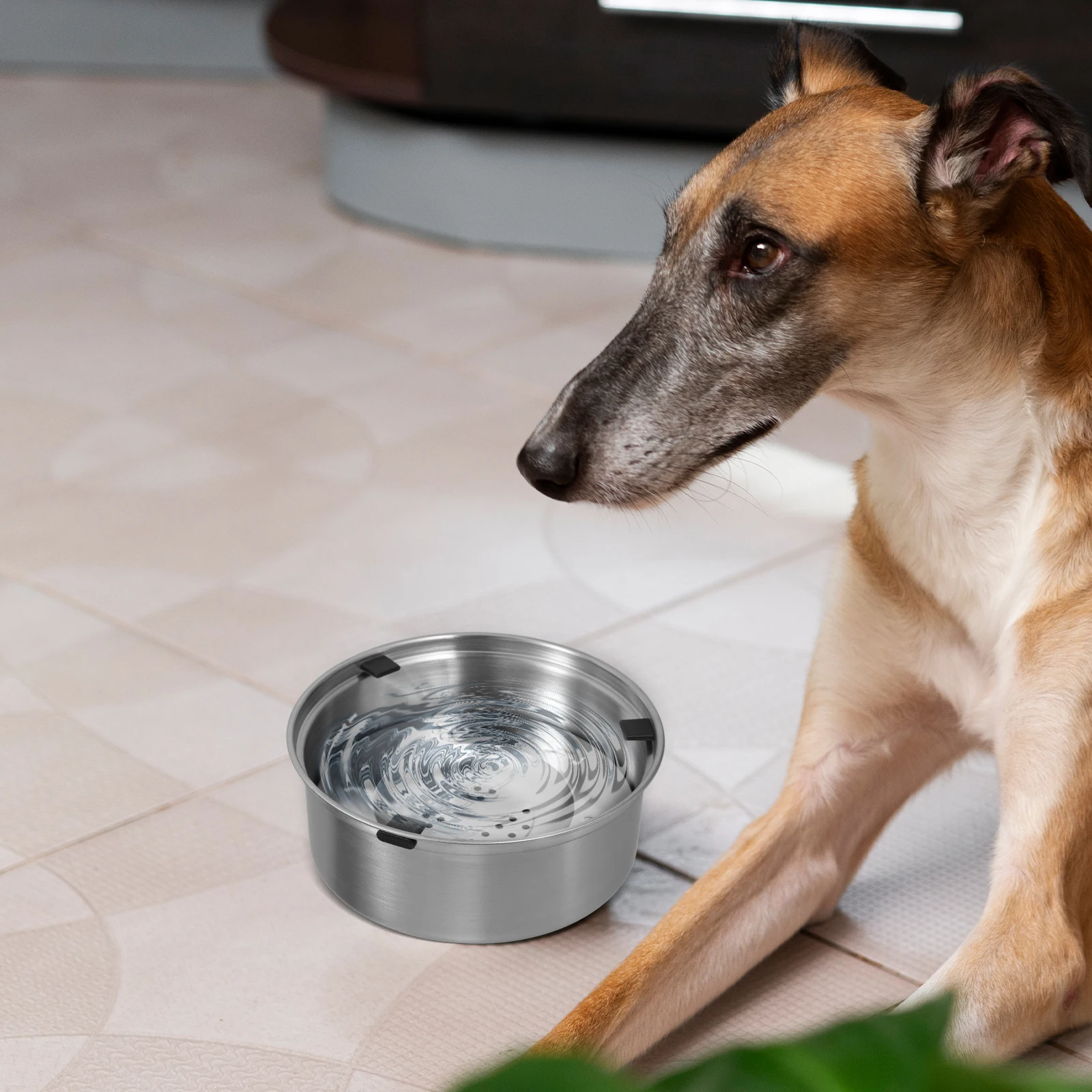 

Non Spill Water Bowl Stainless Stainless Steel Dog Bowl Steel Large Capacity Floating Design Pet Supplies Anti Overflow Dog