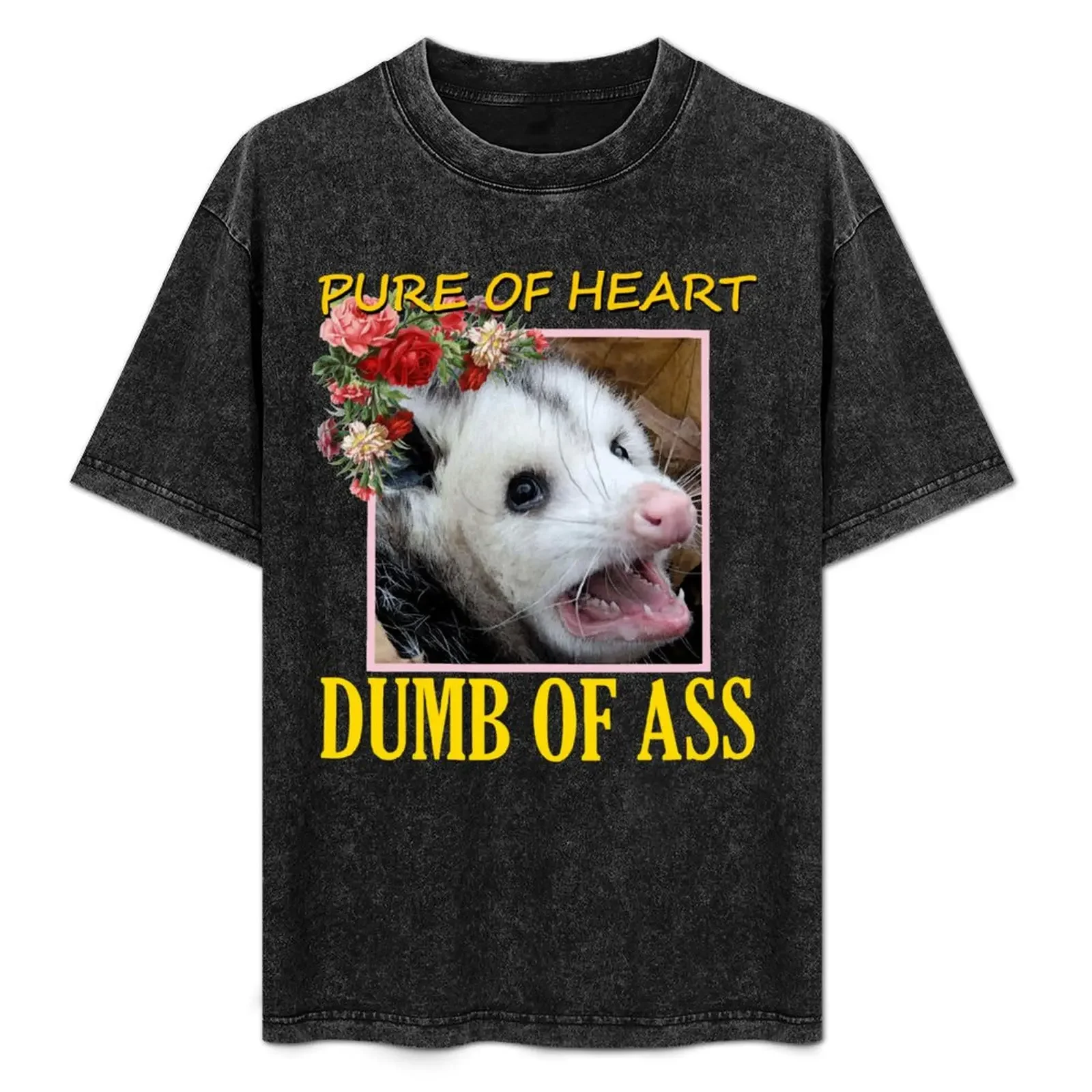 Dumb of Ass Opossum T-Shirt cotton t shirt pack t shirts for man graphic funny anime tshirt cotton t shirt man T-Shirt